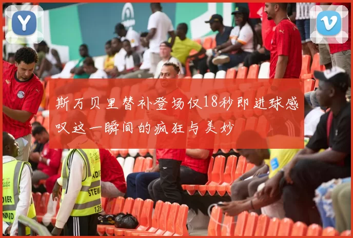斯万贝里替补登场仅18秒即进球感叹这一瞬间的疯狂与美妙