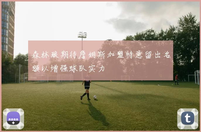 森林狼期待詹姆斯加盟特意留出名额以增强球队实力